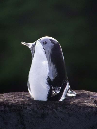 penguin adoption