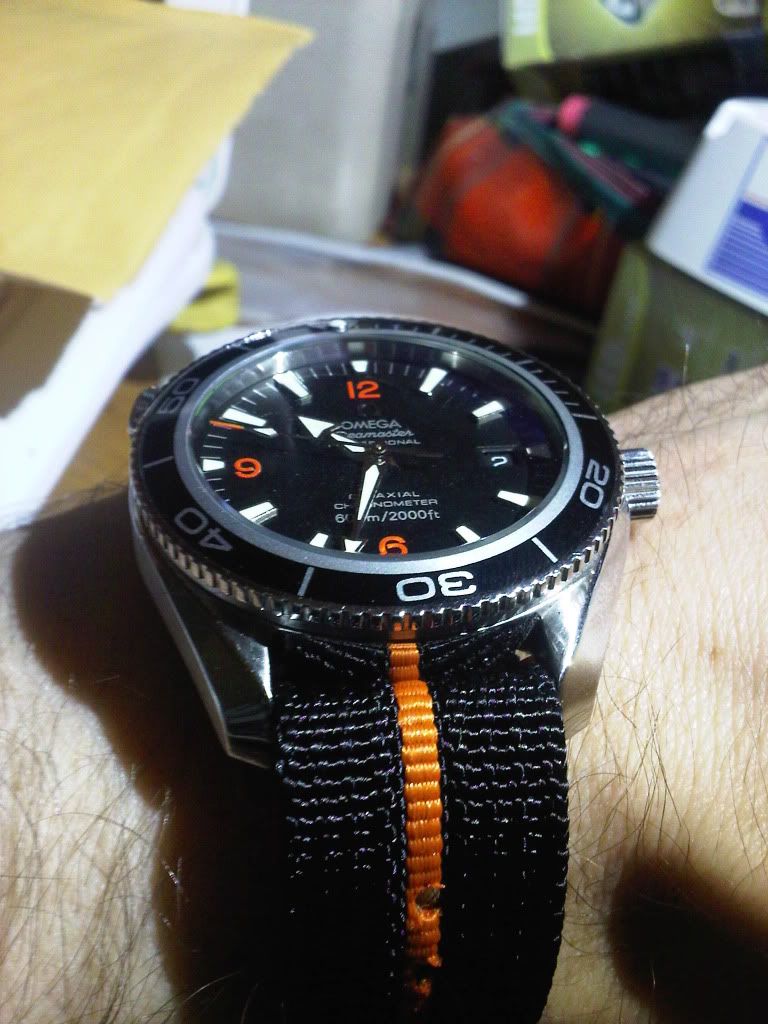IMG-20111102-00682.jpg