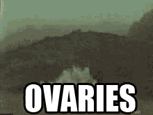 ovaries - explosion.