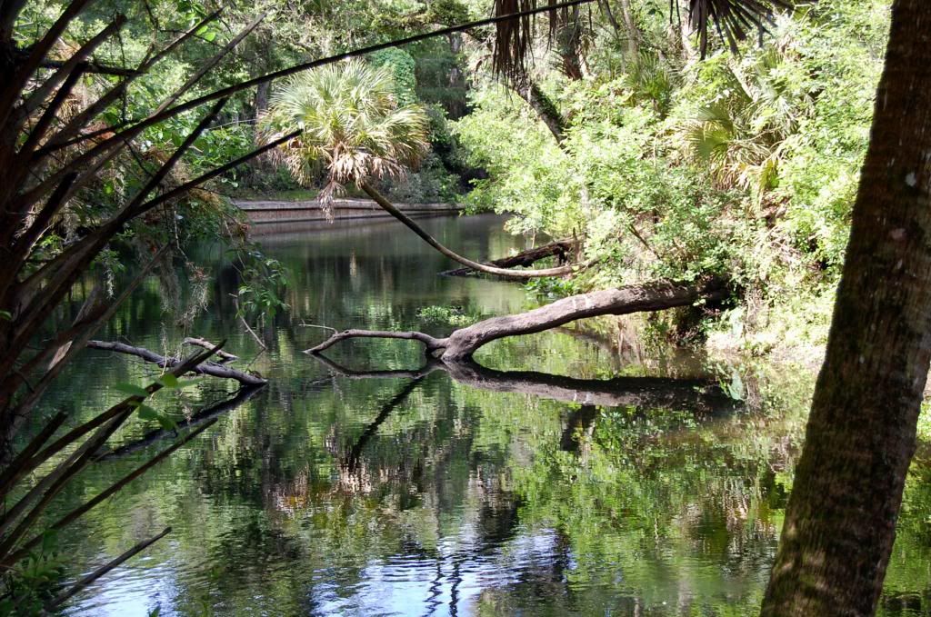 Because I'm Me, Hillsborough River State Park, near Tampa, FL