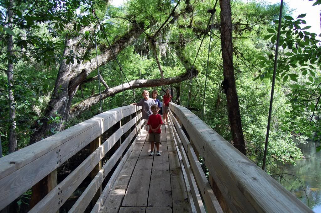Because I'm Me, Hillsborough River State Park suspension bridge, near Tampa, FL