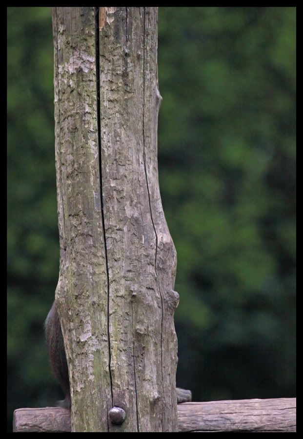 Fotografie