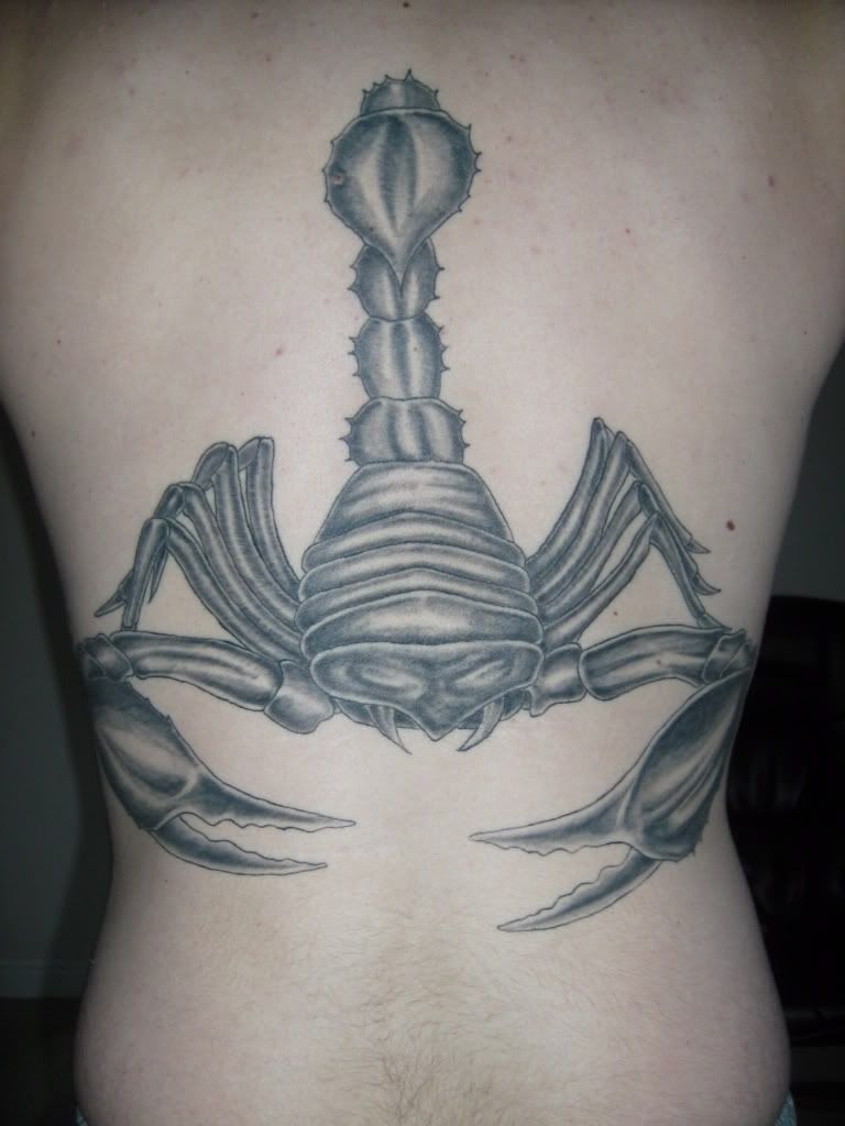 My scorpion tattoo just to see