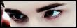 Edward Cullen is staring at you Edward Cullen is staring at you