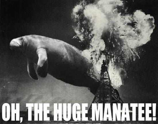 Ohthehugemanatee.jpg