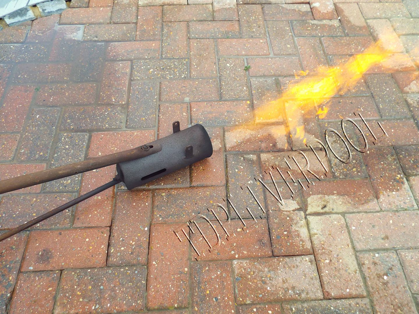 Sheen X500 Flame Gun Paraffin kerosene Weed Killer 0001 eBay