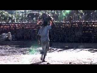 PDVD 006 7 - La Pesadilla de Darwin (2004) [DVD9] [MG-FSV-FSN.dlc]