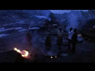 PDVD 007 7 - La Pesadilla de Darwin (2004) [DVD9] [MG-FSV-FSN.dlc]