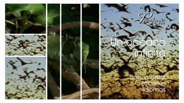 PDVD 014 4 - Pacífico Sur BBC (2009) [6 DVD5] [RS-MG-FSV-FSN.dlc]