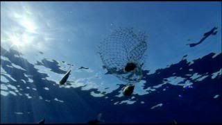 PDVD 017 4 - Pacífico Sur BBC (2009) [6 DVD5] [RS-MG-FSV-FSN.dlc]