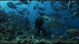 PDVD 036 1 - Pacífico Sur BBC (2009) [6 DVD5] [RS-MG-FSV-FSN.dlc]