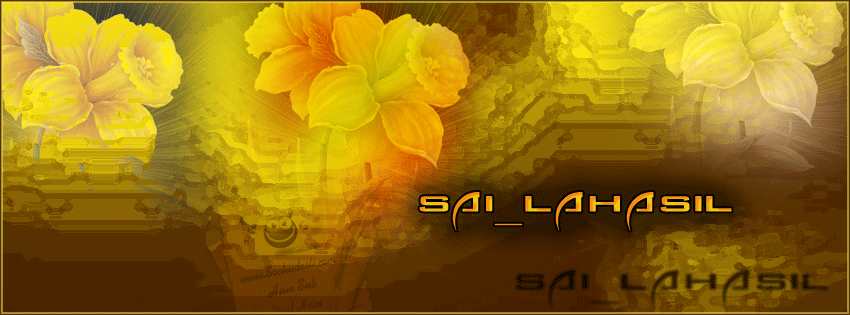 sai lahasil - -*-Request Your Fav  Poetry Design-*-