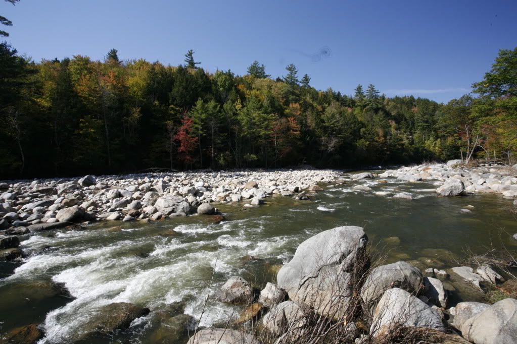 IMAGE: http://i1096.photobucket.com/albums/g333/samandsandy/_MG_1313.jpg