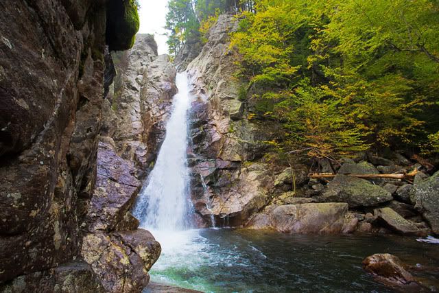 IMAGE: http://i1096.photobucket.com/albums/g333/samandsandy/monarch41of1-6.jpg