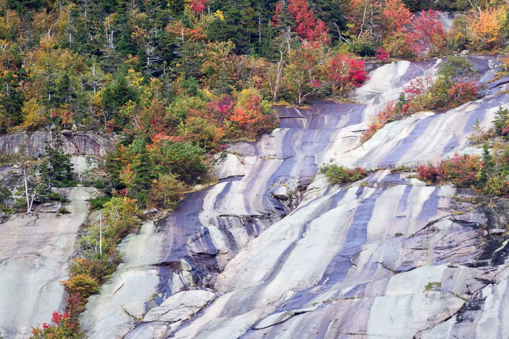 IMAGE: http://i1096.photobucket.com/albums/g333/samandsandy/monarch41of1-8.jpg