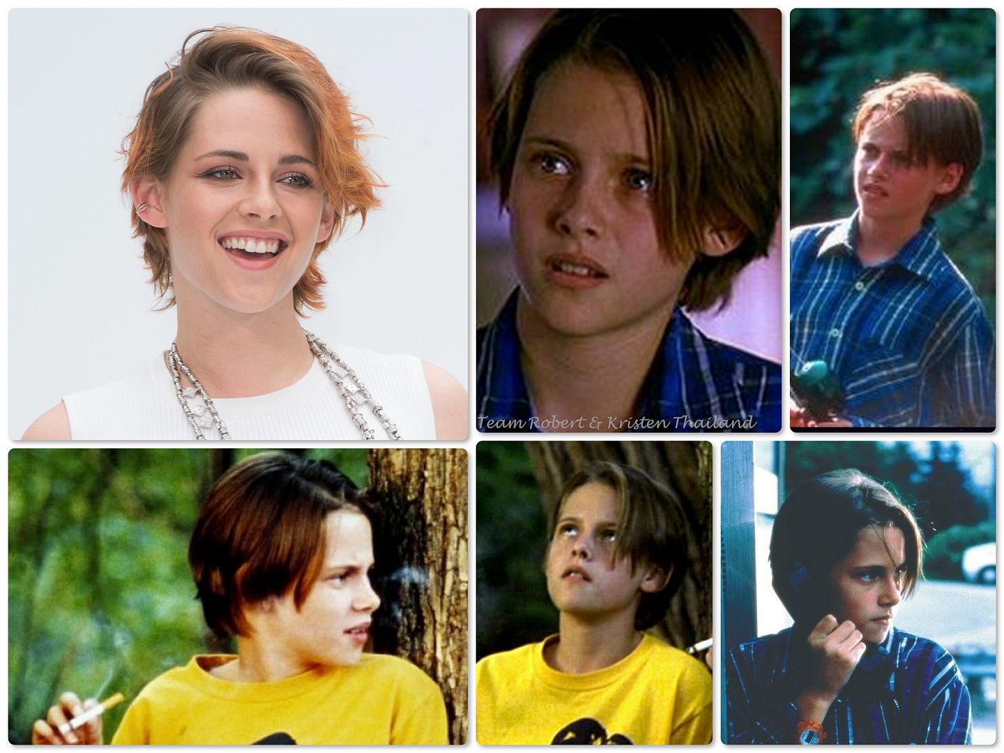 photo shorthair.jpg