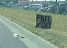 Image: http://i1096.photobucket.com/albums/g335/SirWinsAlot/free%20cat_zpscjy7dnz3.jpg