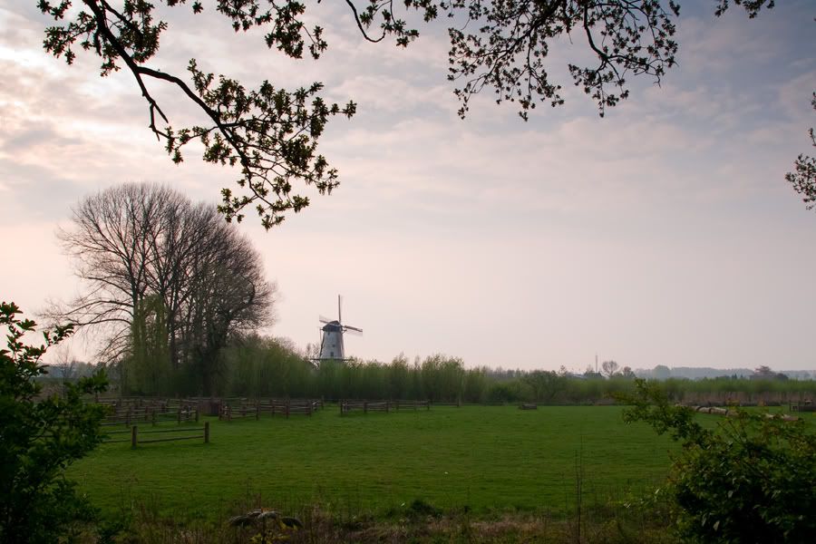 Fotografie