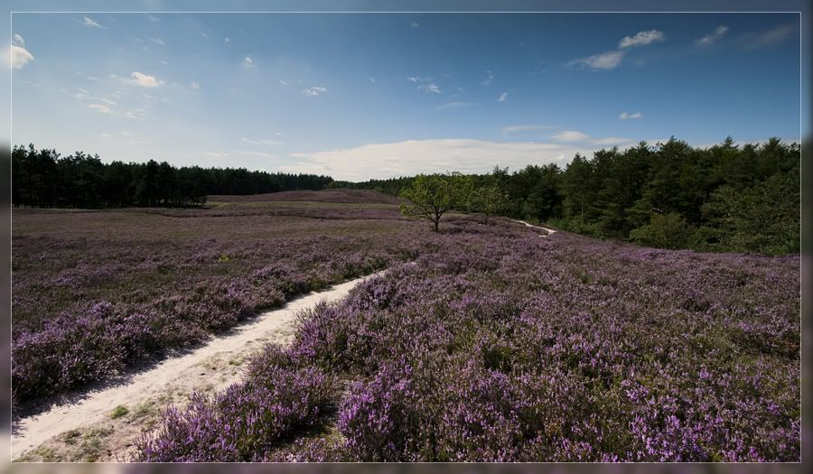 Fotografie