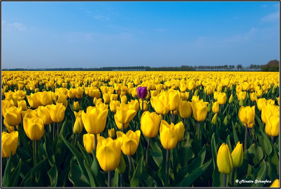 Fotografie