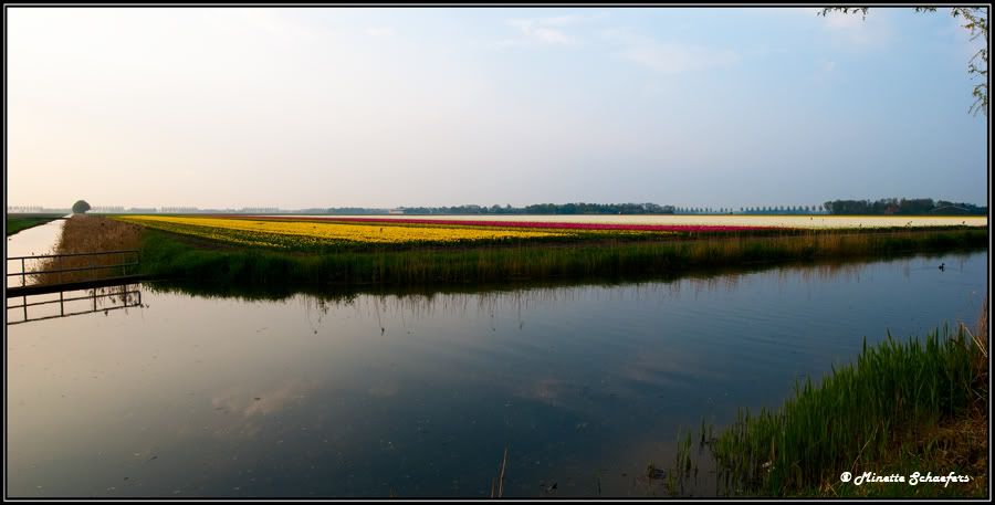 Fotografie