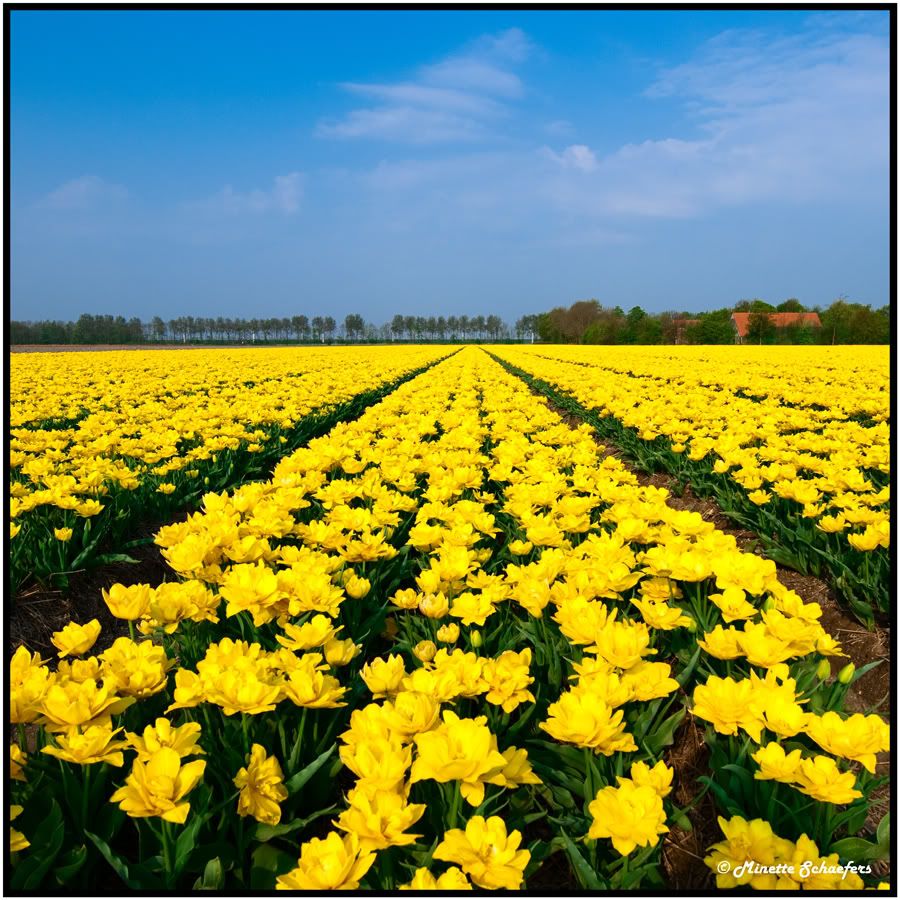Fotografie