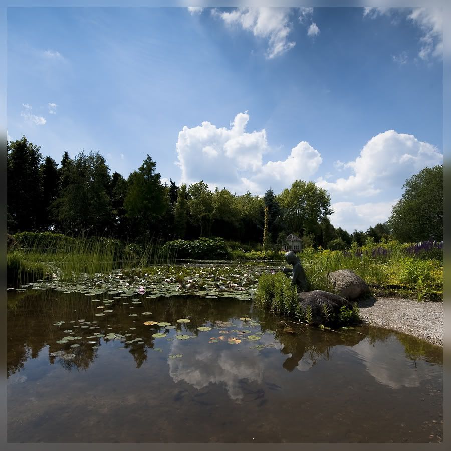 Fotografie