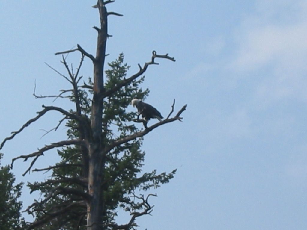 111-1109_IMG.jpg