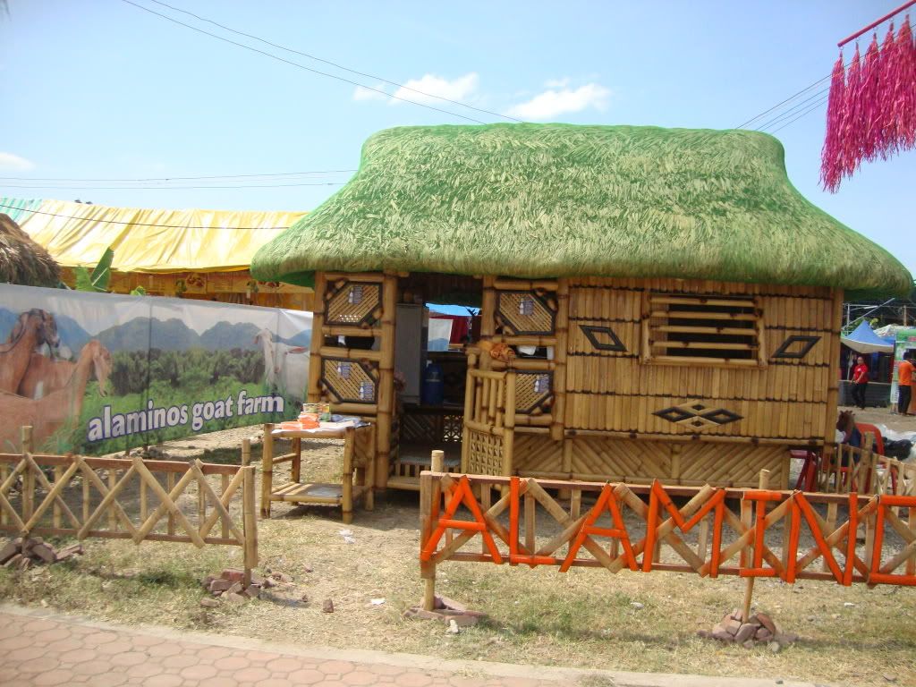 ALAMINOS, LA LAGUNA