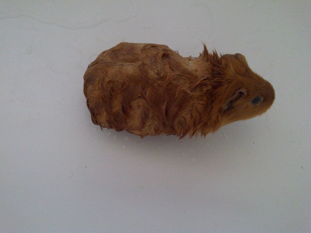 IMG-20120610-00610-1.jpg