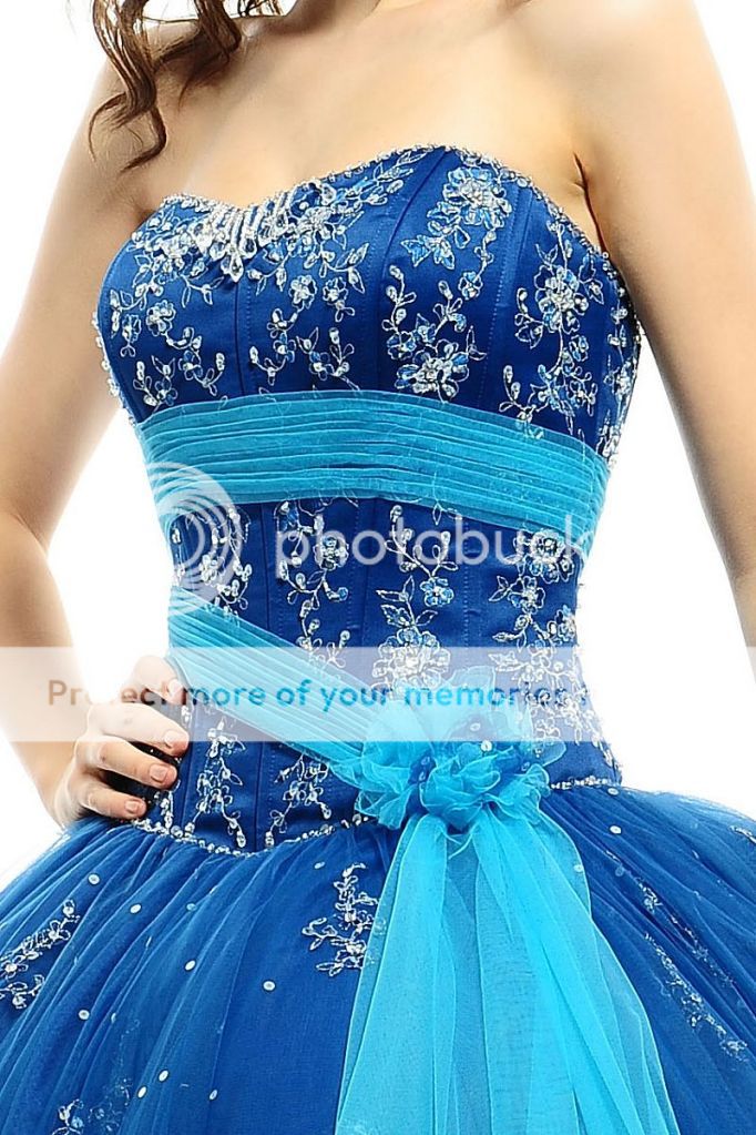   Applique Dress Bridal Wedding Evening Ball Gown Prom Dress 2012  