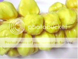   Wild Borneo YELLOW Chempedak Fruit 3seeds *FRESH*UNIQUE TASTE*  